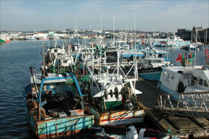 Côtiers port Concarneau